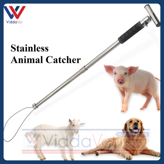 1Pc Stainless Steel Catching Pig