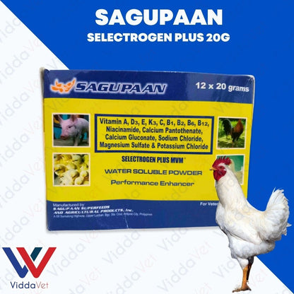 Sagupaan Selectrogen Plus 20g 1 Box