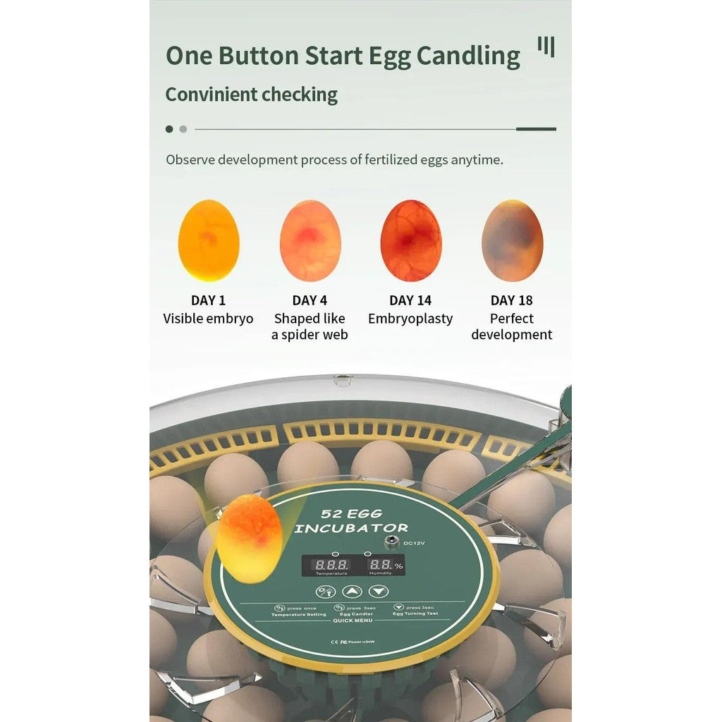 Automatic Egg Incubator 52 Eggs Capacity