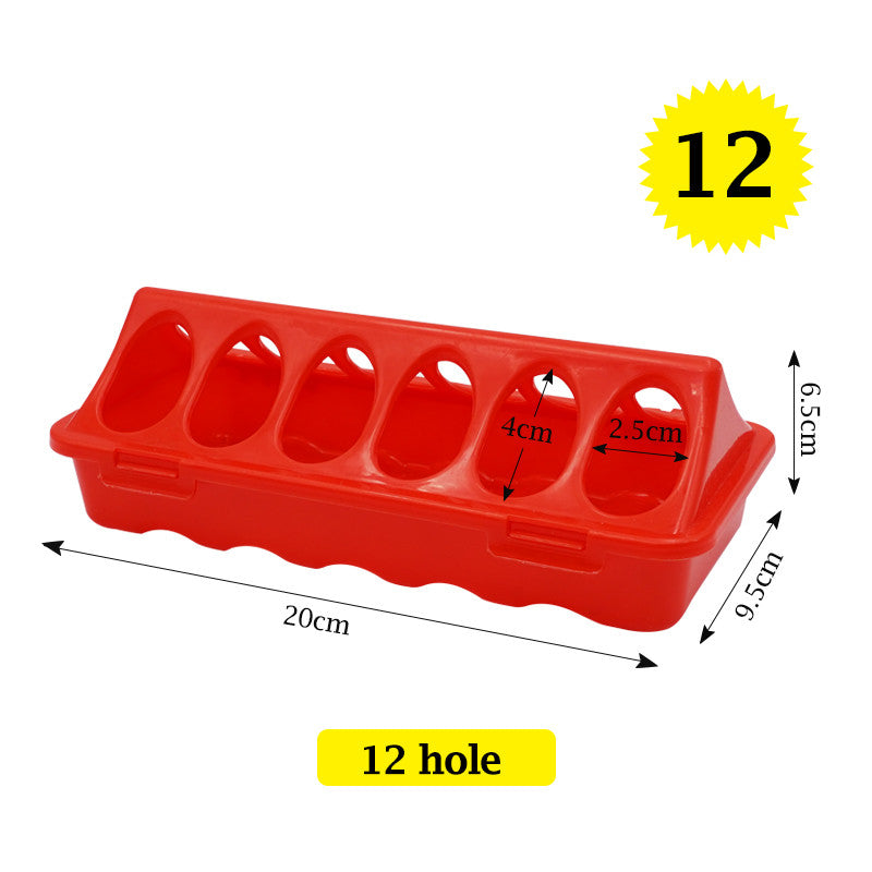 Poultry Ground Feeder Chicken