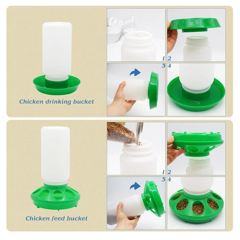 Chicken Feeder and Drinker