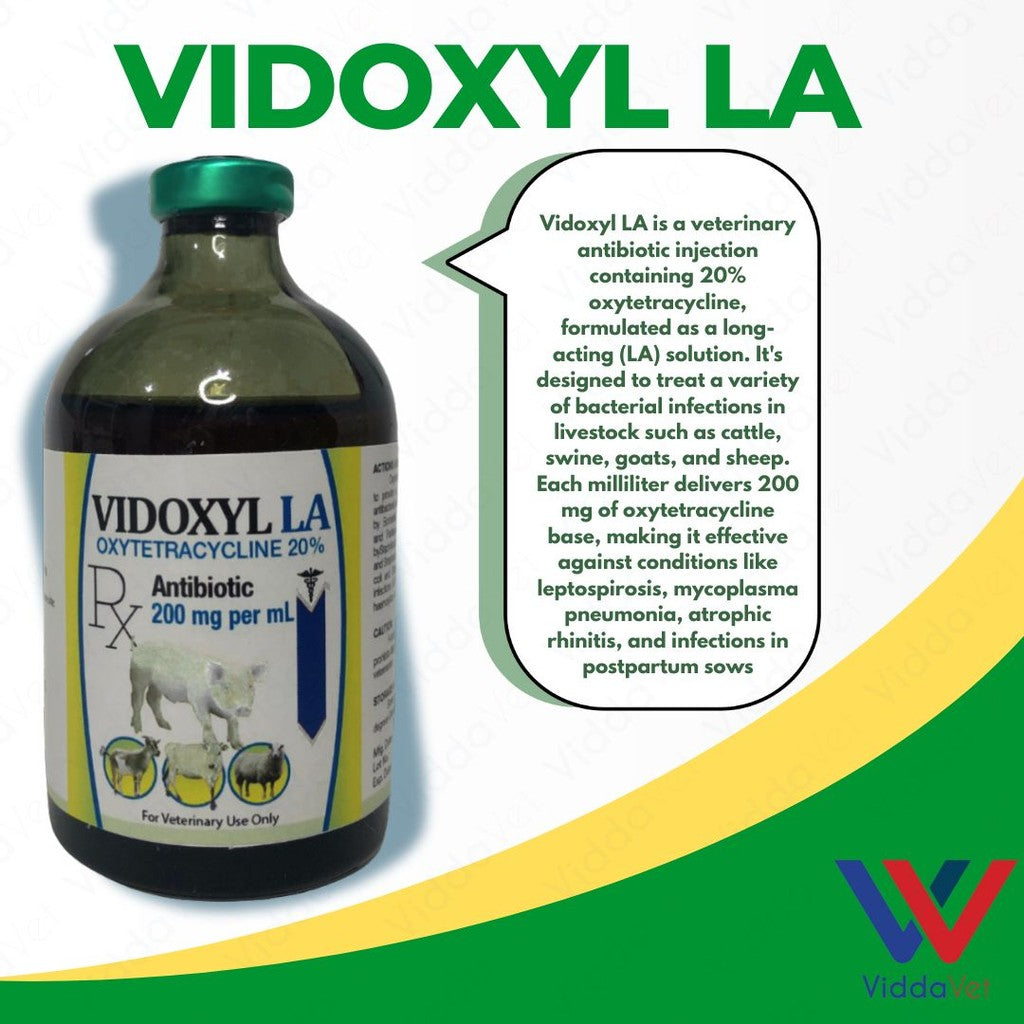 Vidoxyl LA 100ml