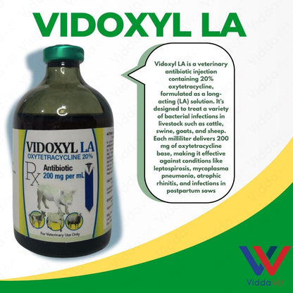 Vidoxyl LA 100ml