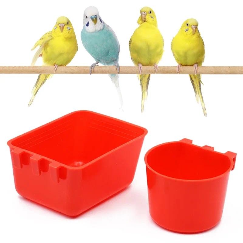 Plastic Drinking Bowl and Bird Feeder