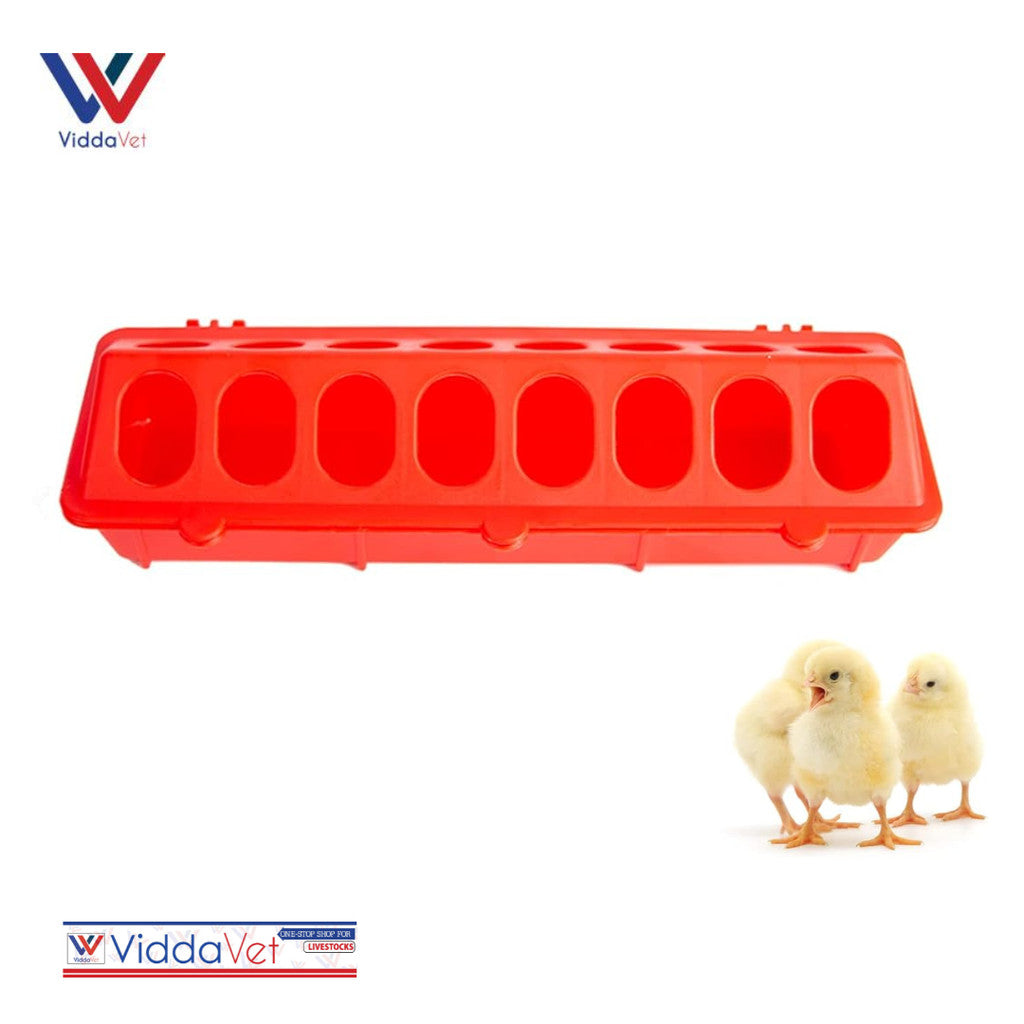 Poultry Ground Feeder Chicken