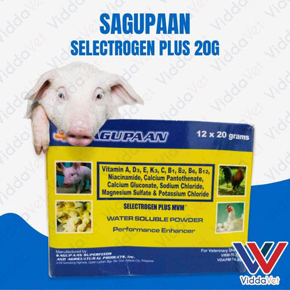 Sagupaan Selectrogen Plus 20g 1 Box