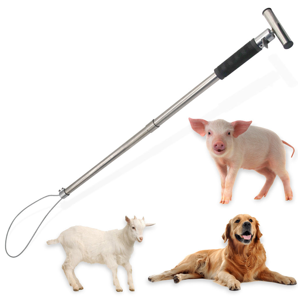 1Pc Stainless Steel Catching Pig