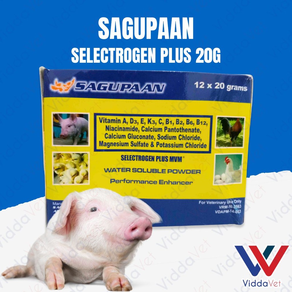 Sagupaan Selectrogen Plus 20g 1 Box