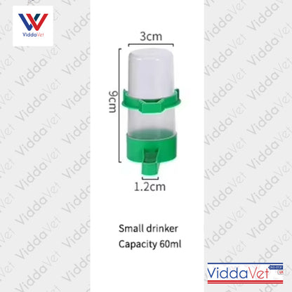 Hanging Waterer and Bird Feeder