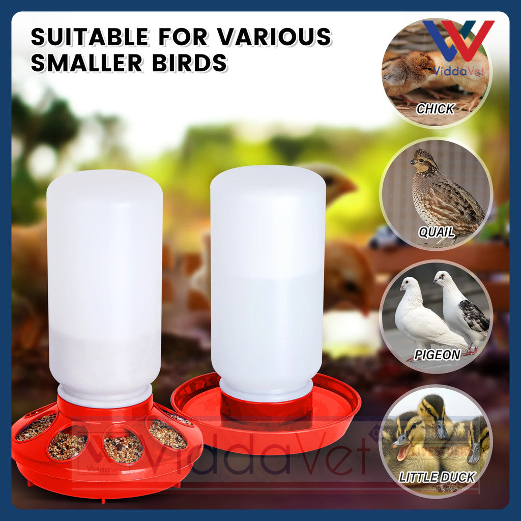 Chicken Feeder and Drinker