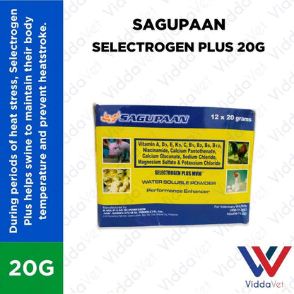 Sagupaan Selectrogen Plus 20g 1 Box