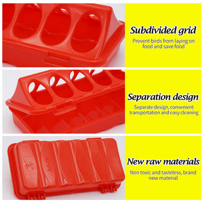 Poultry Ground Feeder Chicken