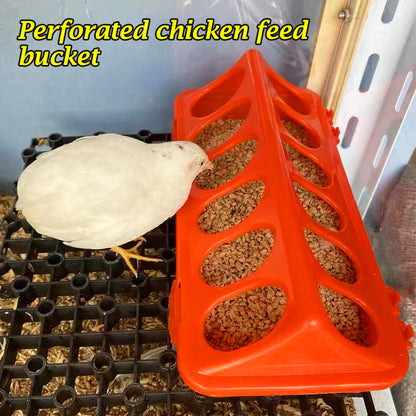 Poultry Ground Feeder Chicken