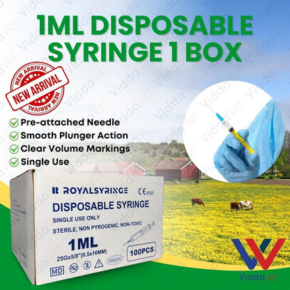 Disposable Syringe 1ML 100pcs