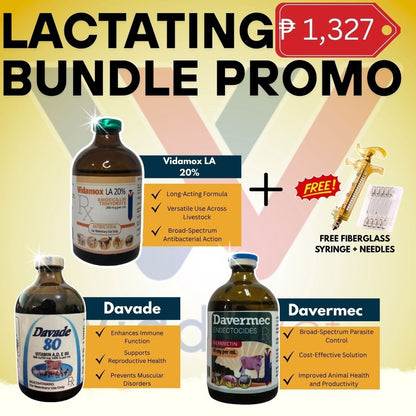Lactating Bundle Support with Vidamox LA, Davermec & Davade for Pigs
