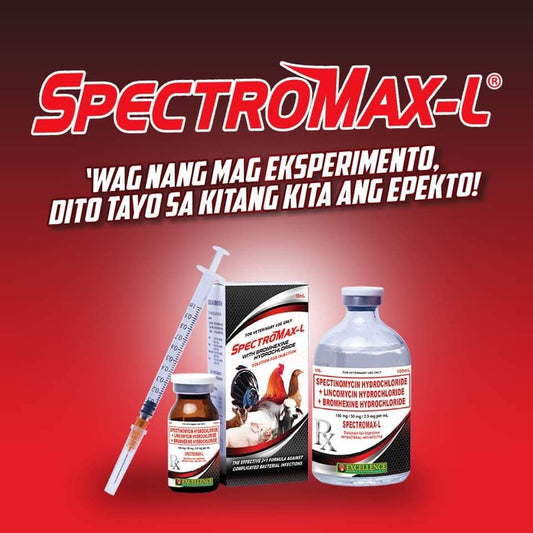 Spectomax L 100 ML