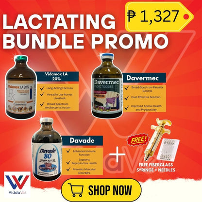 Lactating Bundle Support with Vidamox LA, Davermec & Davade for Pigs