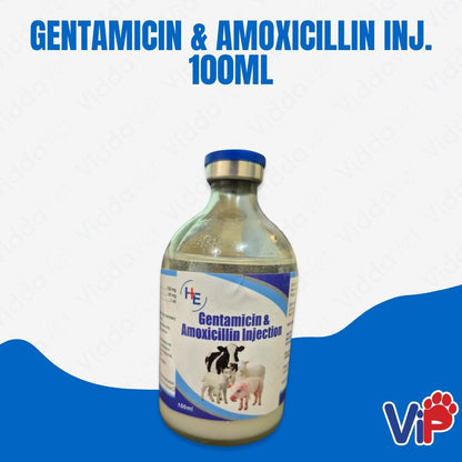 Gentamycin & Amox Inj 100mL