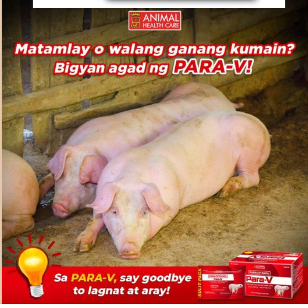 Para-V Paracetamol 6g