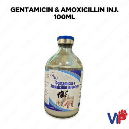 Gentamycin & Amox Inj 100mL