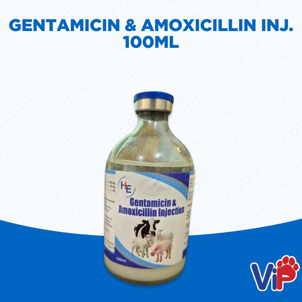 Gentamycin & Amox Inj 100mL