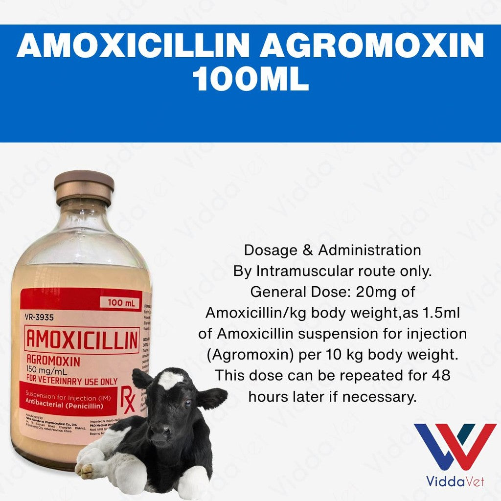 Amox Agromoxin 100mL