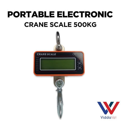 Portable Electronic Crane Scale 500kg