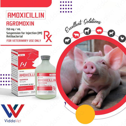 Amox Agromoxin 100mL