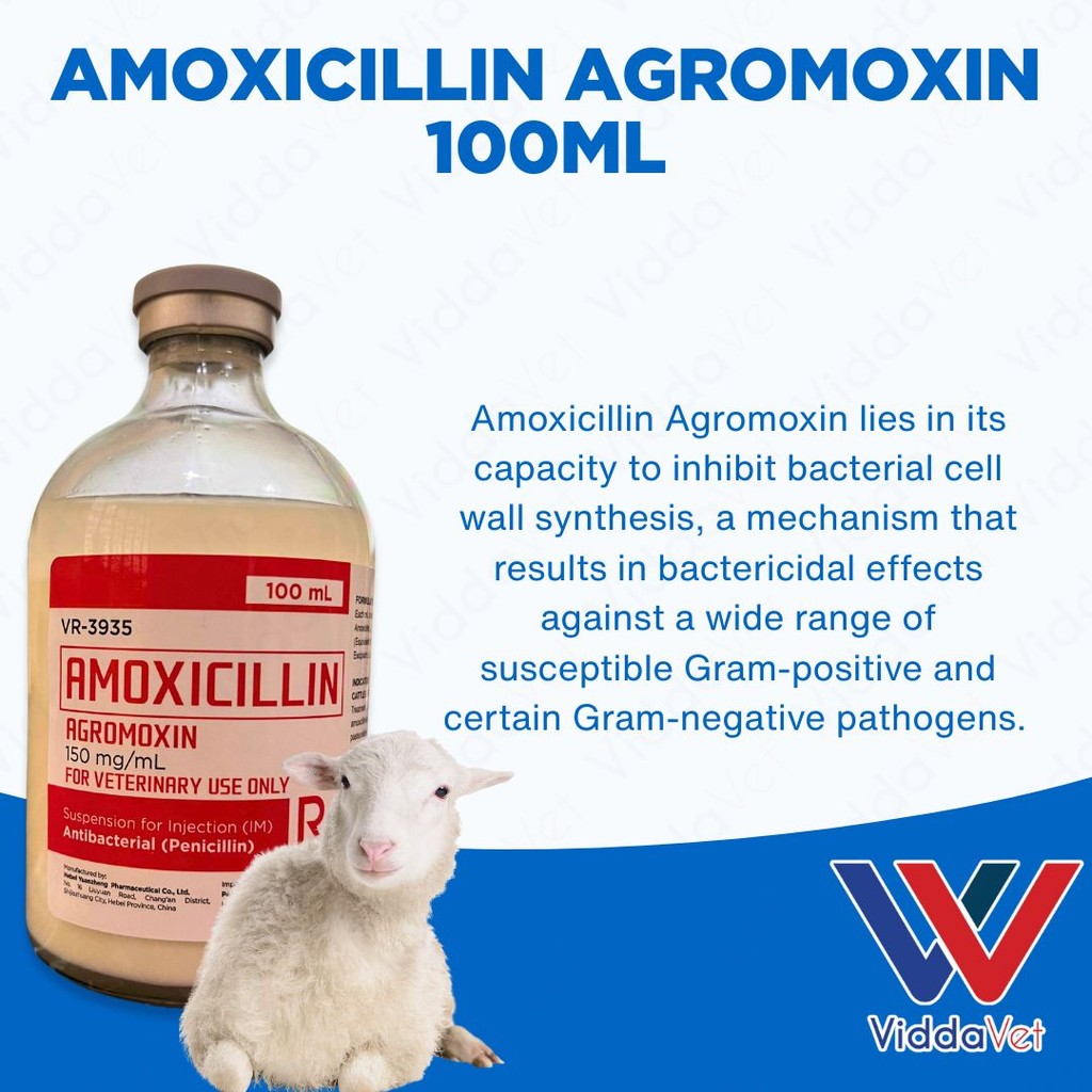 Amox Agromoxin 100mL