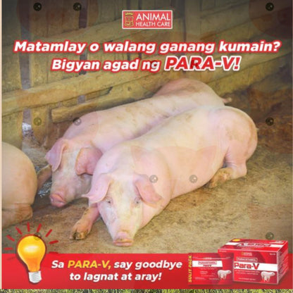 Para-V Paracetamol 6g