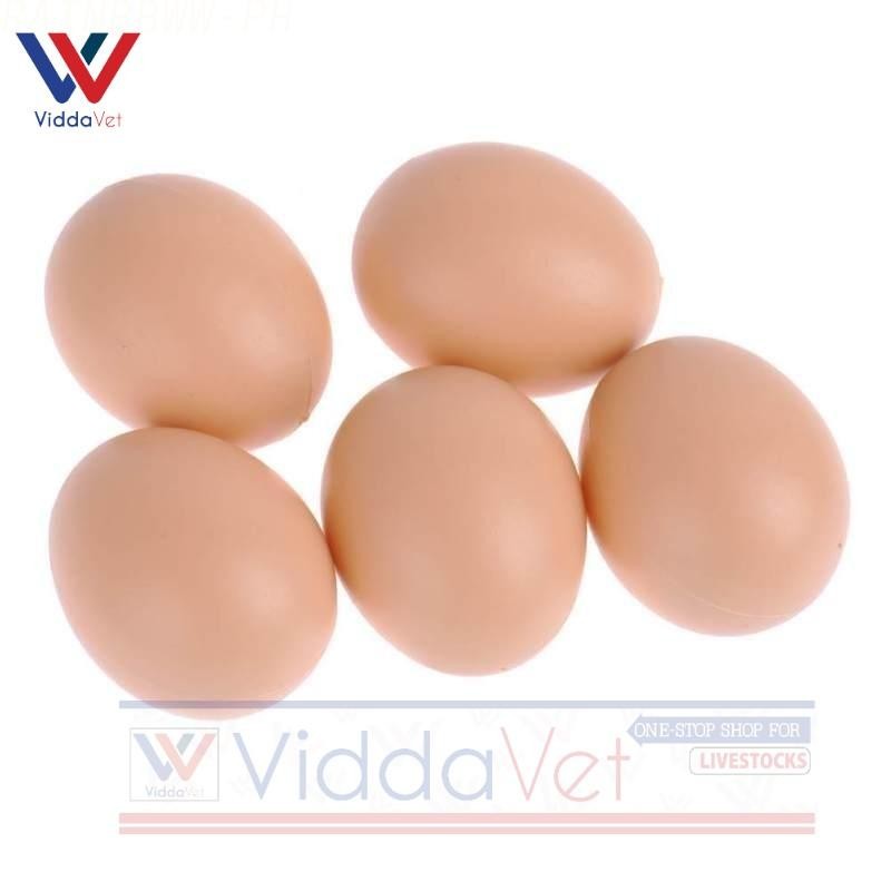Fake Plastic Dummy Eggs Nesting Toy 5pcs