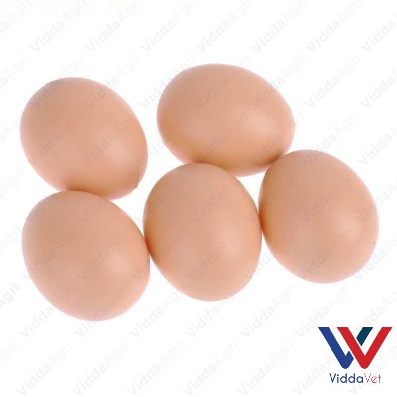 Fake Plastic Dummy Eggs Nesting Toy 5pcs
