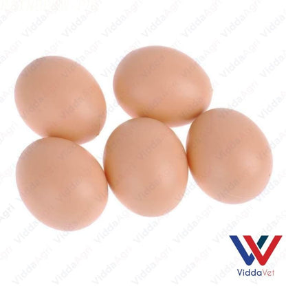 Fake Plastic Dummy Eggs Nesting Toy 5pcs