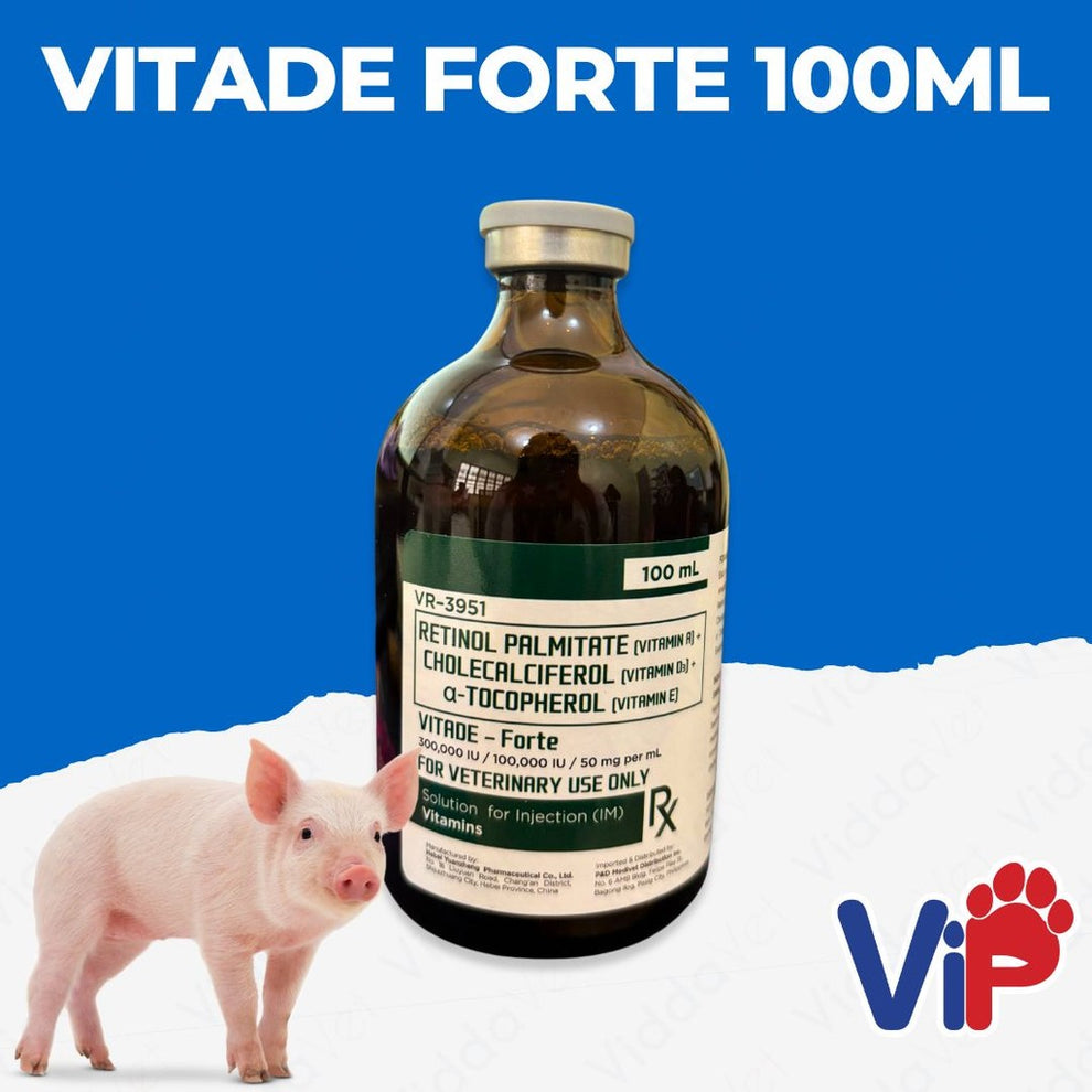 Vitade Forte Vitamin Injection 100ml - Premium Livestock Supplement ...