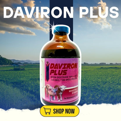 Piglet Bundle Davicom Plus, Combimoxin, Daviron Plus