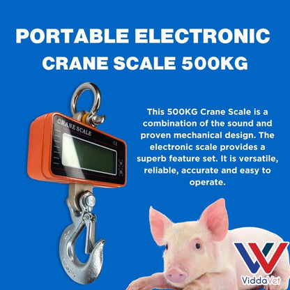 Portable Electronic Crane Scale 500kg