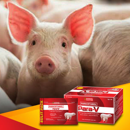 Para-V Paracetamol 6g