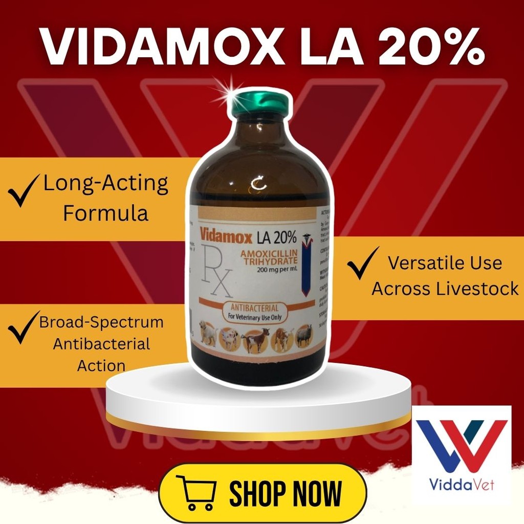Lactating Bundle Support with Vidamox LA, Davermec & Davade for Pigs