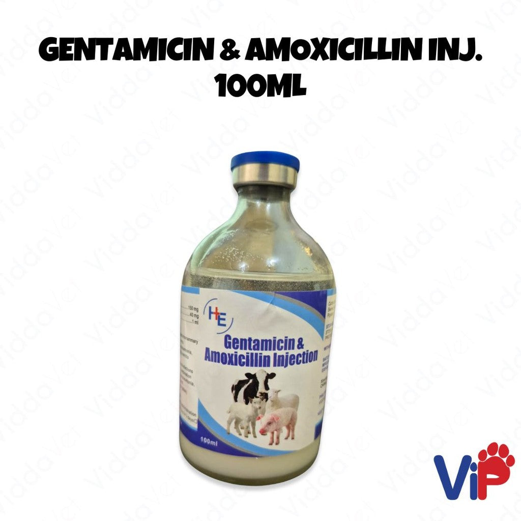 Gentamycin & Amoxicillin Injection 100mL - Dual-Action Veterinary ...