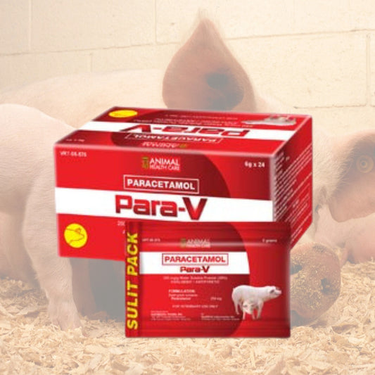 Para-V Paracetamol 6g