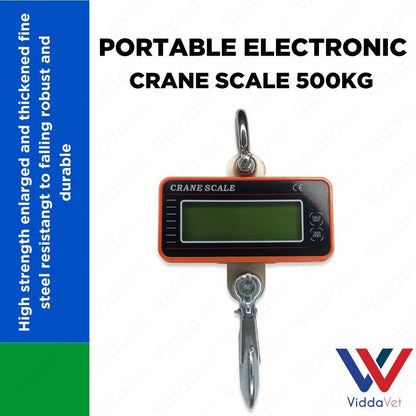 Portable Electronic Crane Scale 500kg