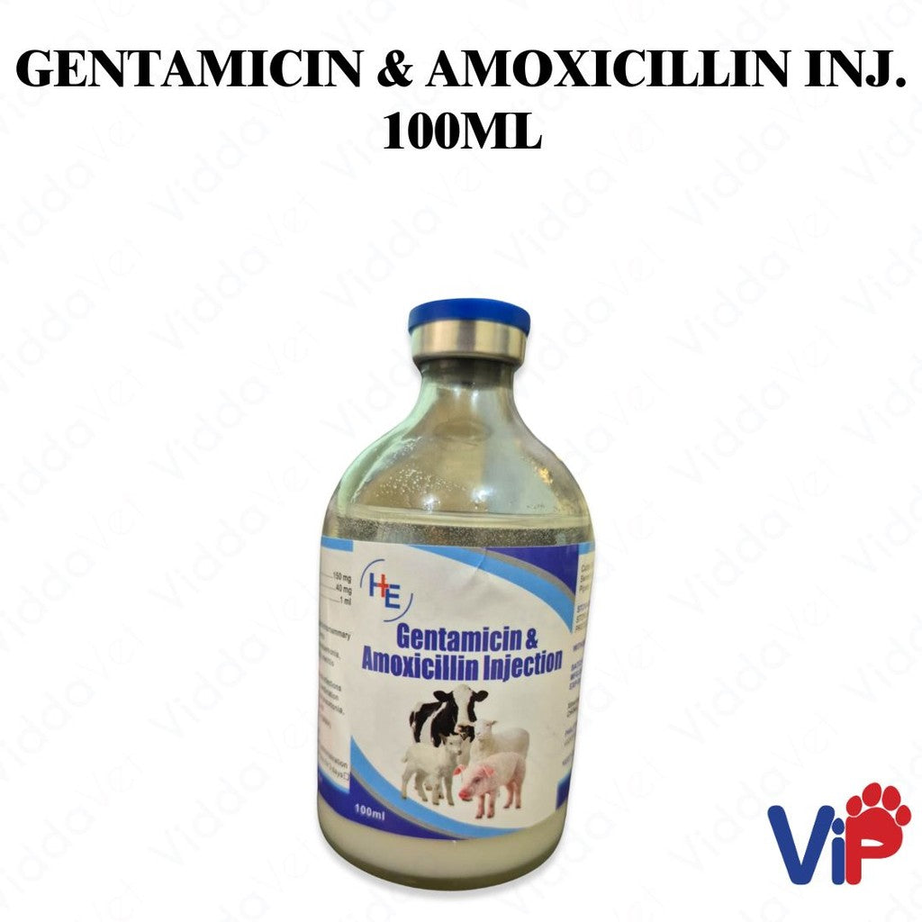 Gentamycin & Amox Inj 100mL