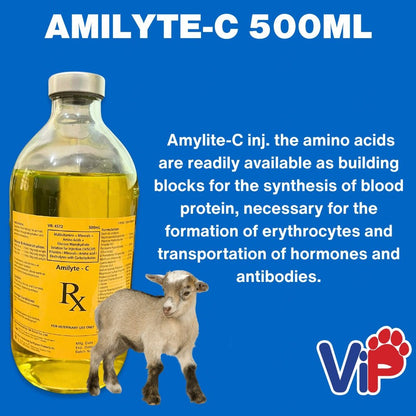 Amilyte C 500ml