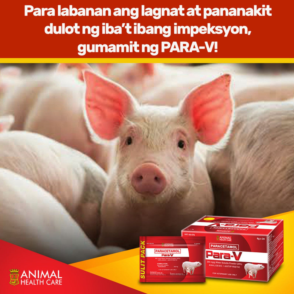 Para-V Paracetamol 6g