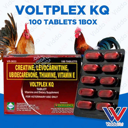 Voltplex KQ 100 Tablets