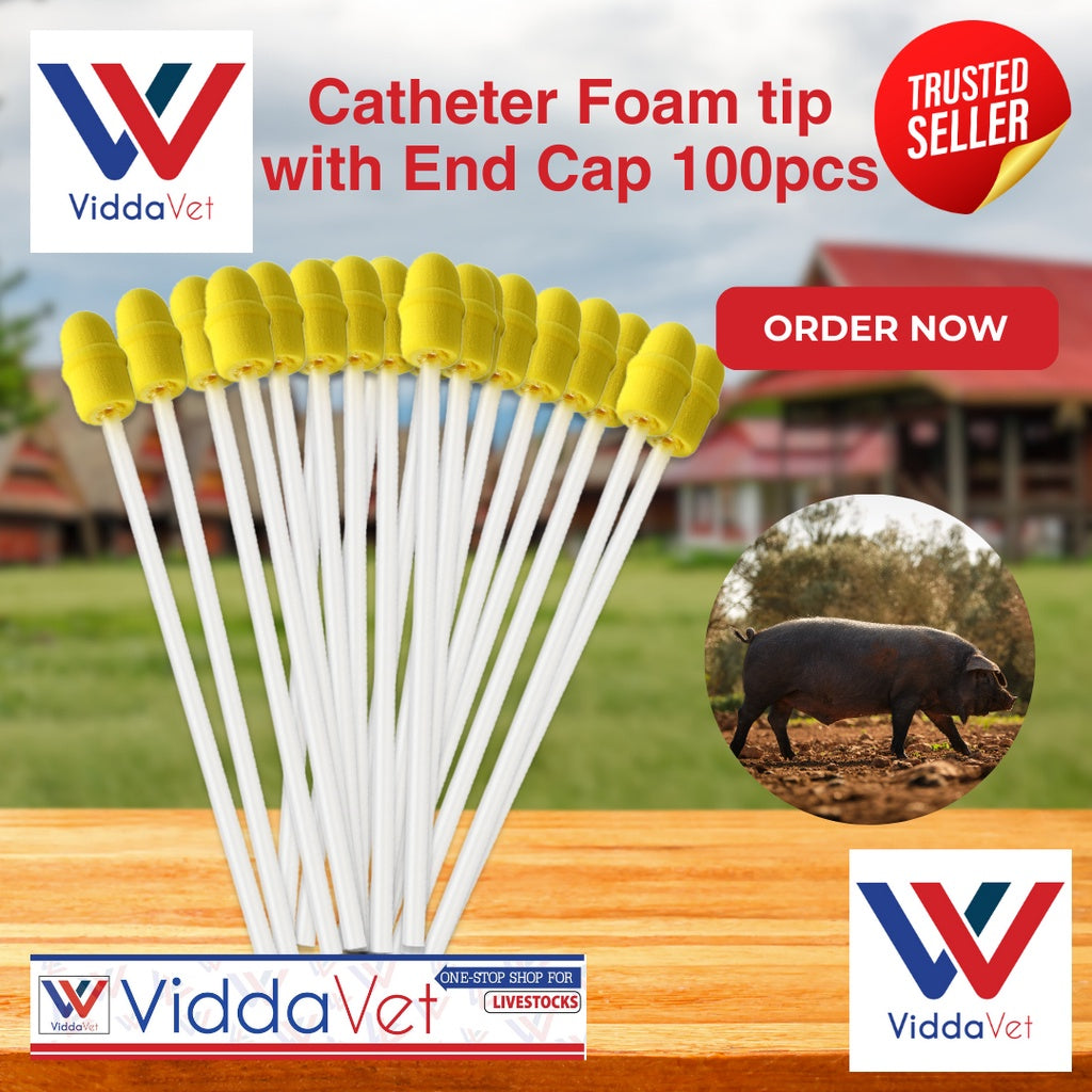 Foam Tip Catheter with End Cap for Gilts 100pcs
