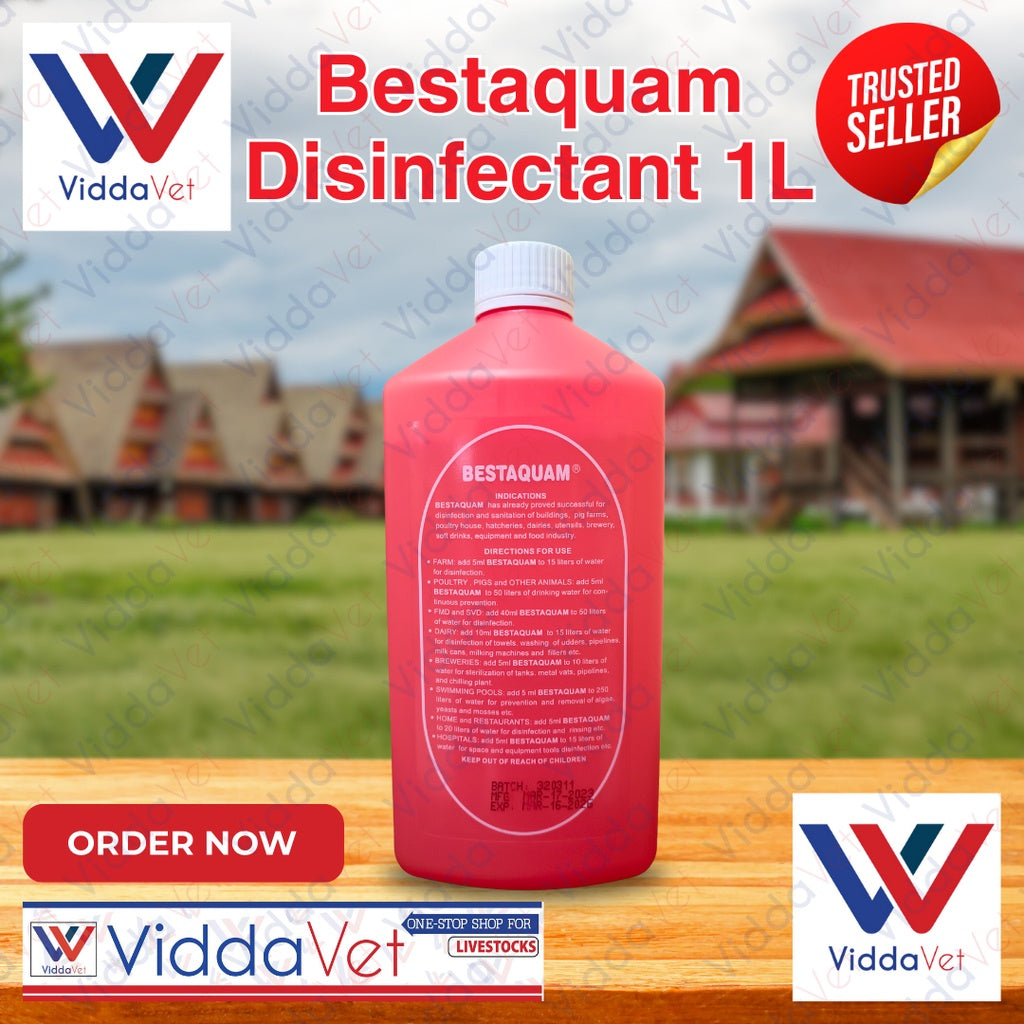 Bestaquam Disinfectant 1L