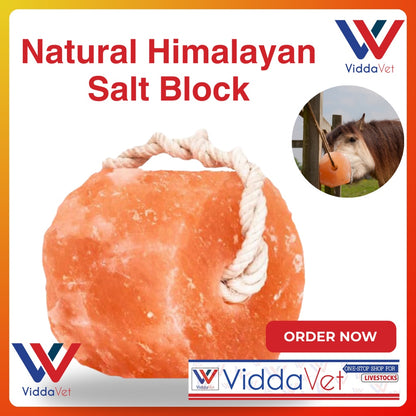 Natural Himalayan Salt Block