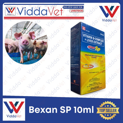 Bexan SP 10ml