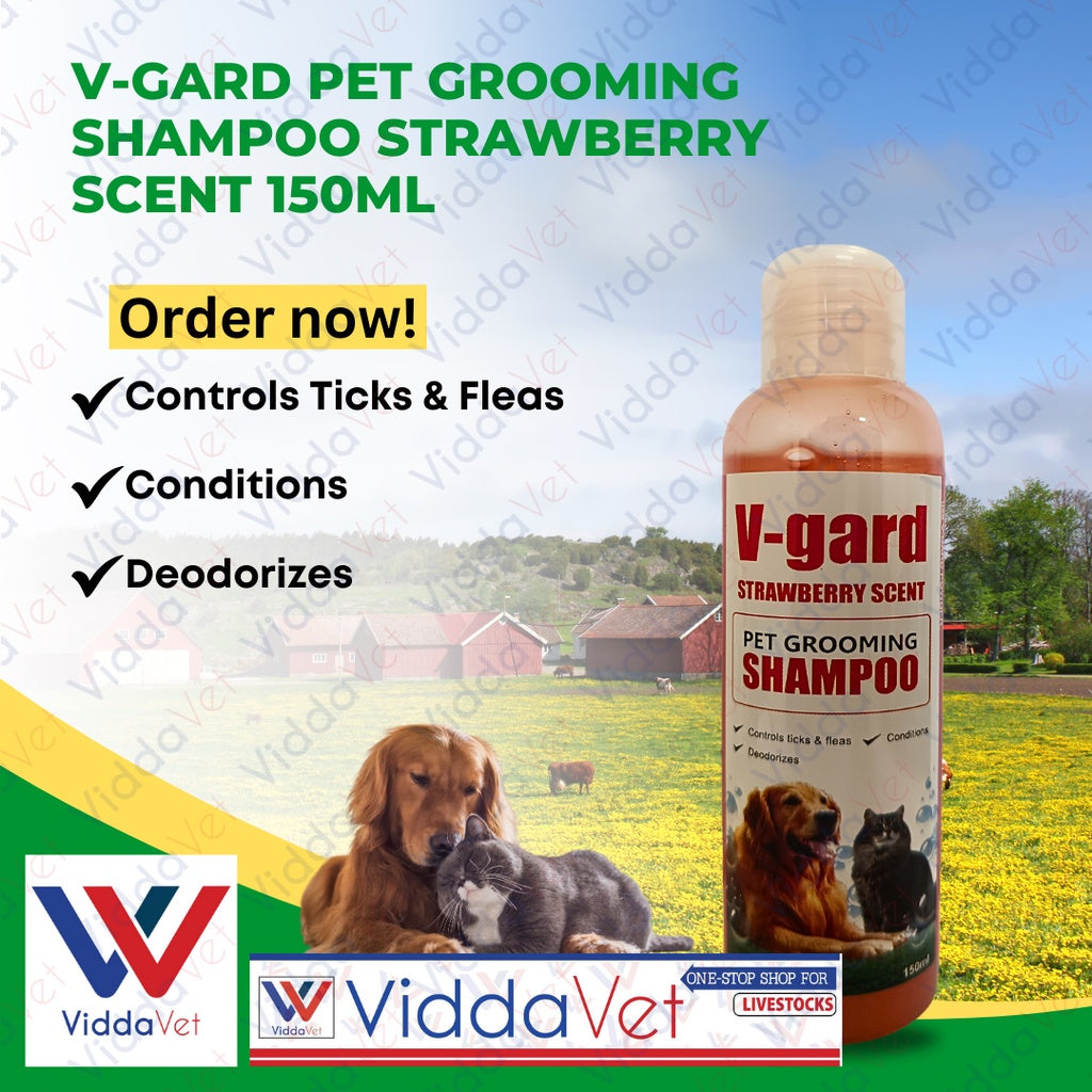 V-Gard Pet Shampoo Strawberry Scent 150ML